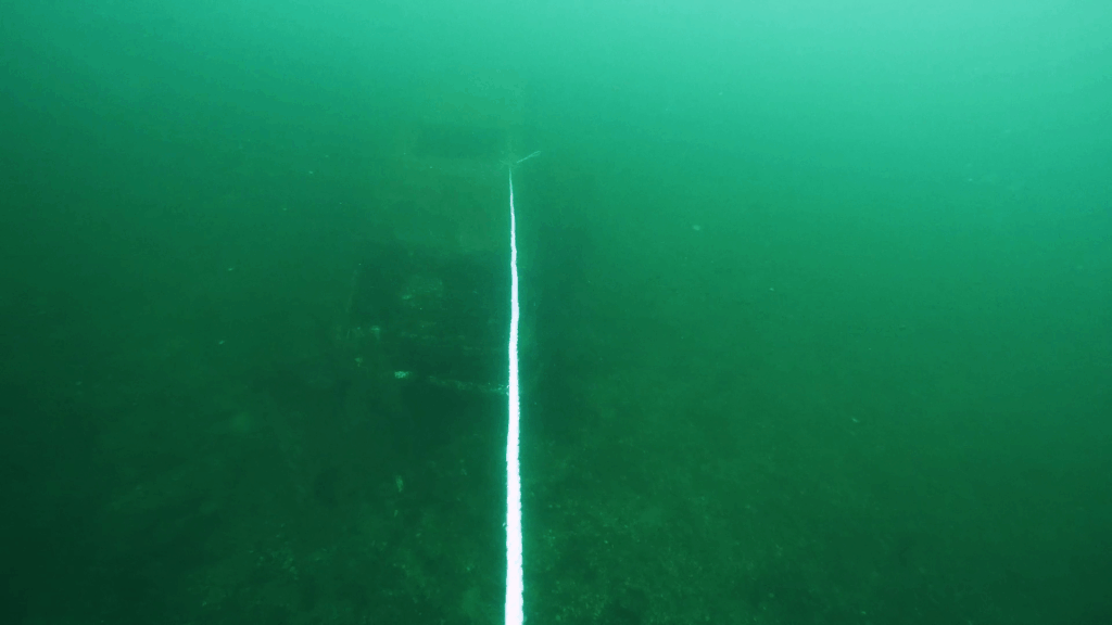 Murky water with a dive line descending into dark water.