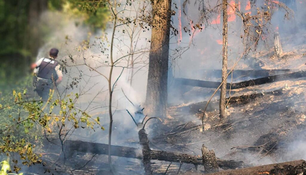 golden-rcmp-cst-mark-tataryn