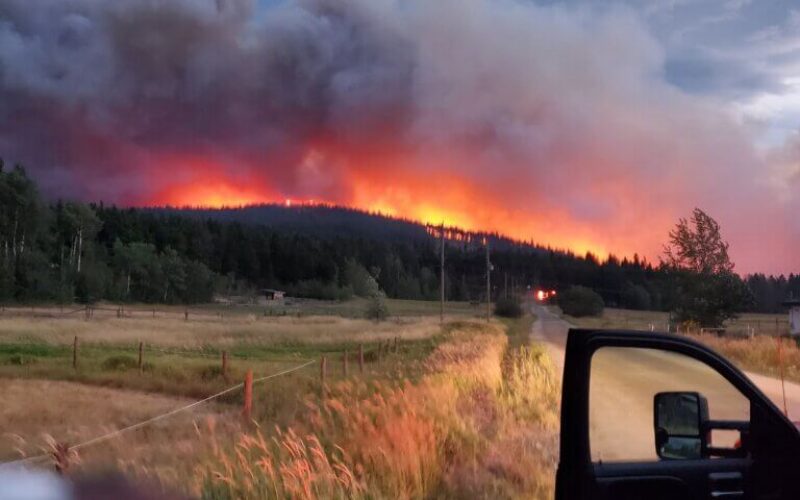 A photo of the 2021 Mount Law Wildfire in West Kelowna, B.C., from behind a patrol vehicle.
